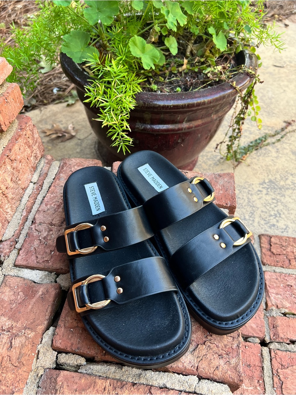 Steve Madden Black Double-Buckle Slide Sandals -Gold Hardware – Women’s Size 8